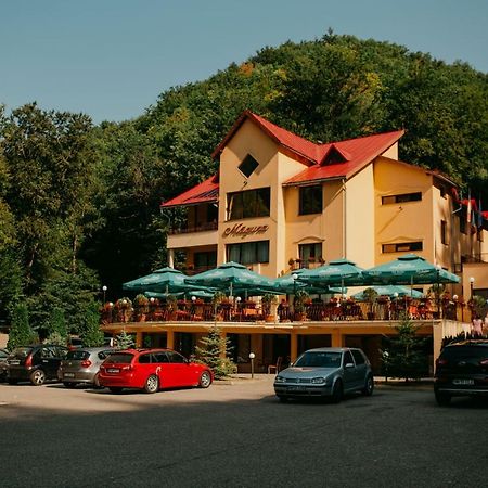 Pensiunea Magura Baia Mare Esterno foto