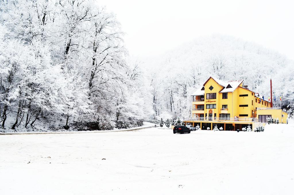 Pensiunea Magura Baia Mare Esterno foto