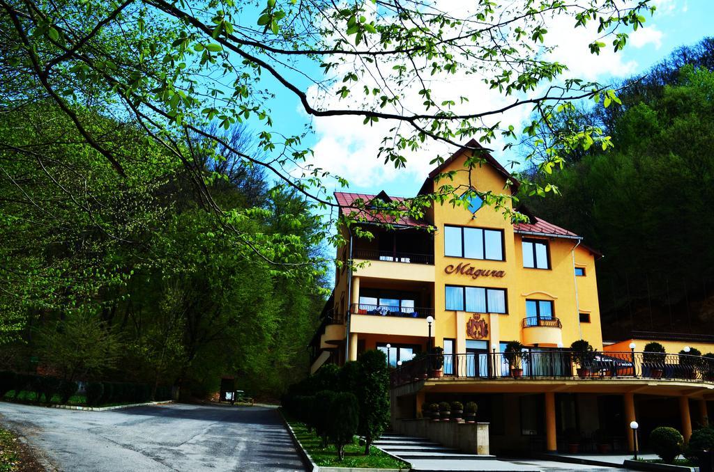 Pensiunea Magura Baia Mare Esterno foto