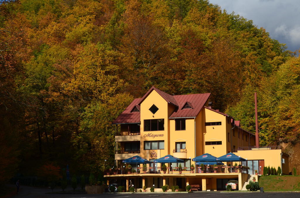 Pensiunea Magura Baia Mare Esterno foto