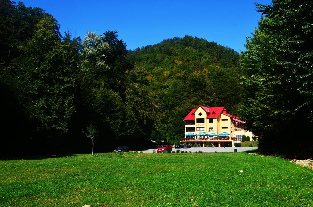 Pensiunea Magura Baia Mare Esterno foto