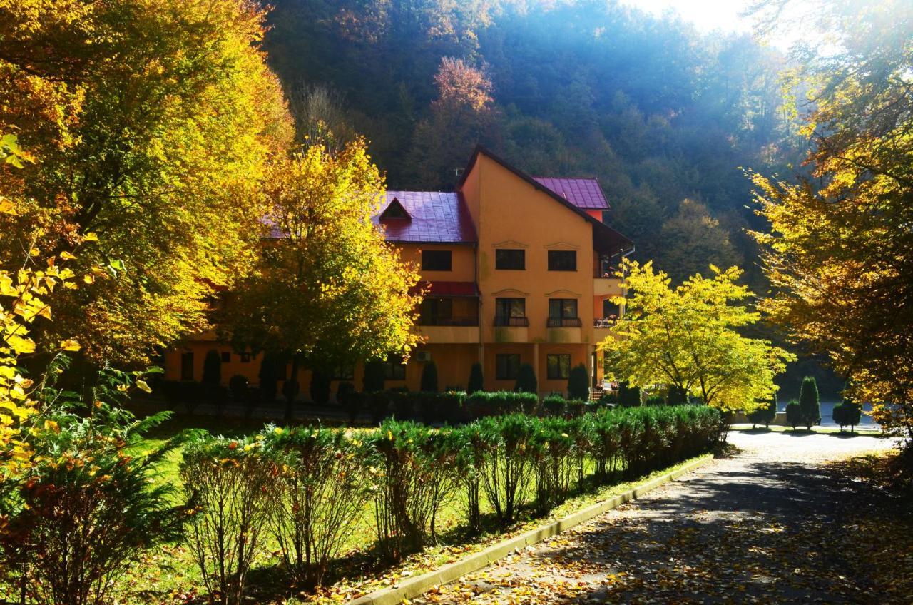 Pensiunea Magura Baia Mare Esterno foto