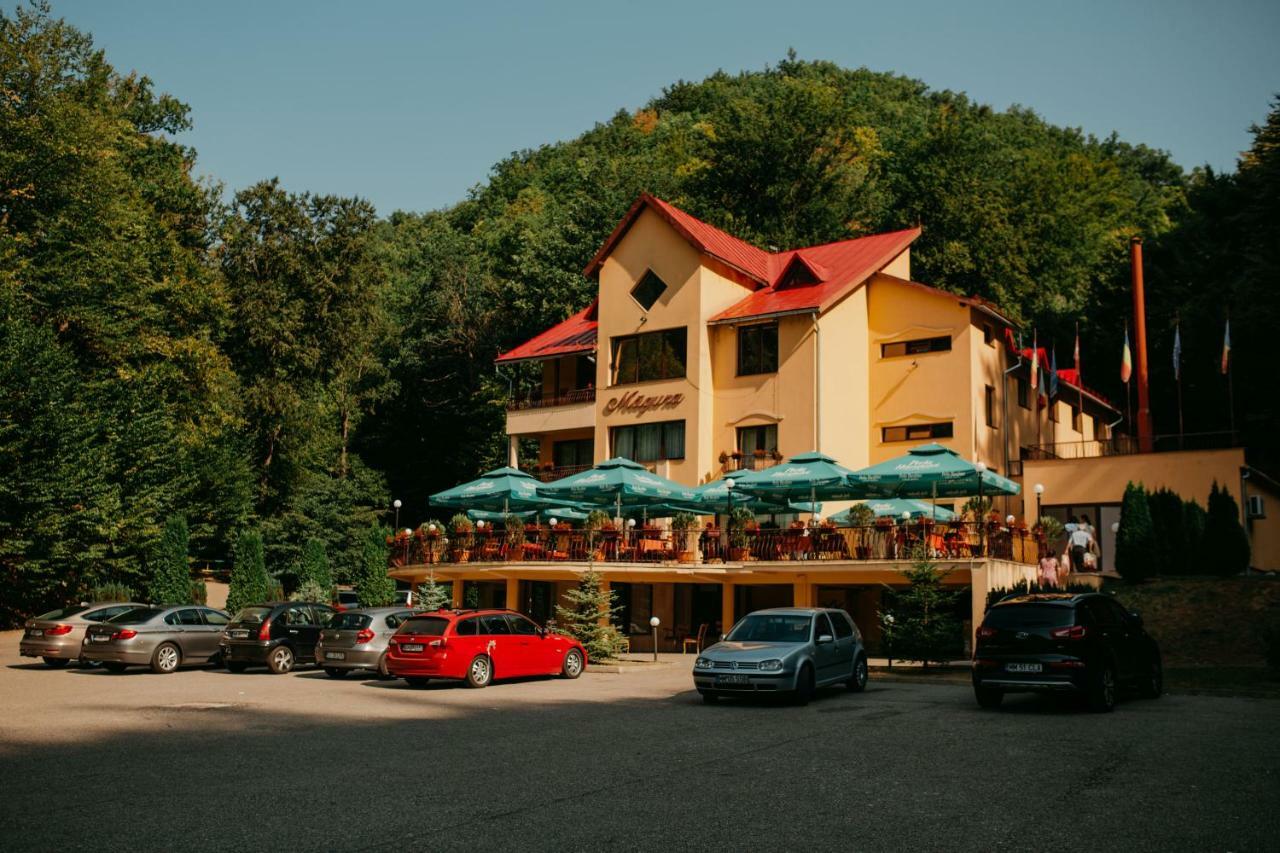 Pensiunea Magura Baia Mare Esterno foto